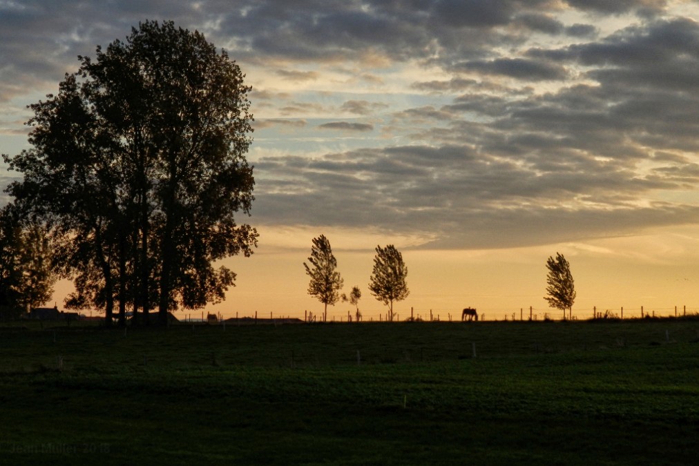 Countryside   sunrise